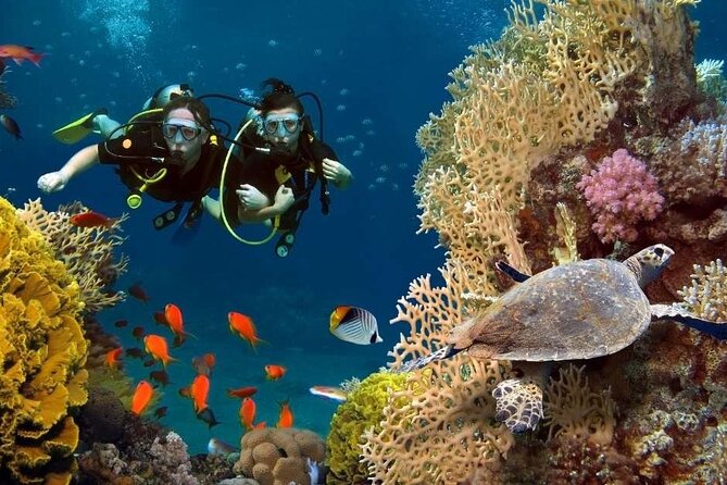 Exciteful Scuba Diving Experience in Antalya - Starting around 10:00 am with hotel pickup