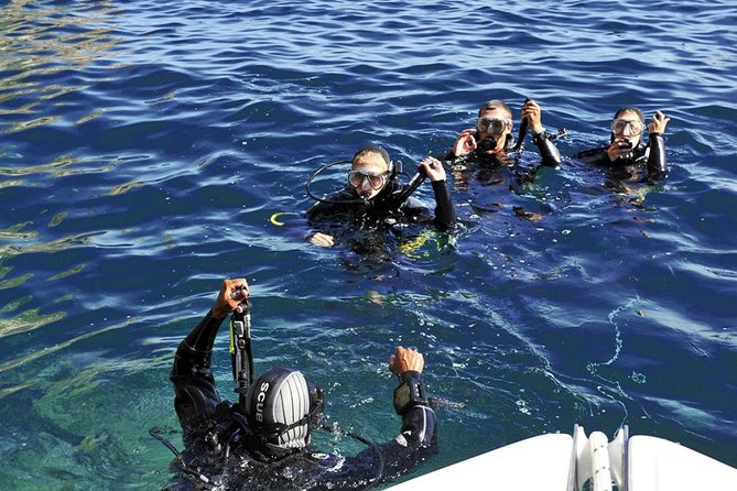 Exciting PADI Discover Scuba Diving Experience Isola Bella Marine Park Taormina - Is $193.50 a fair price?