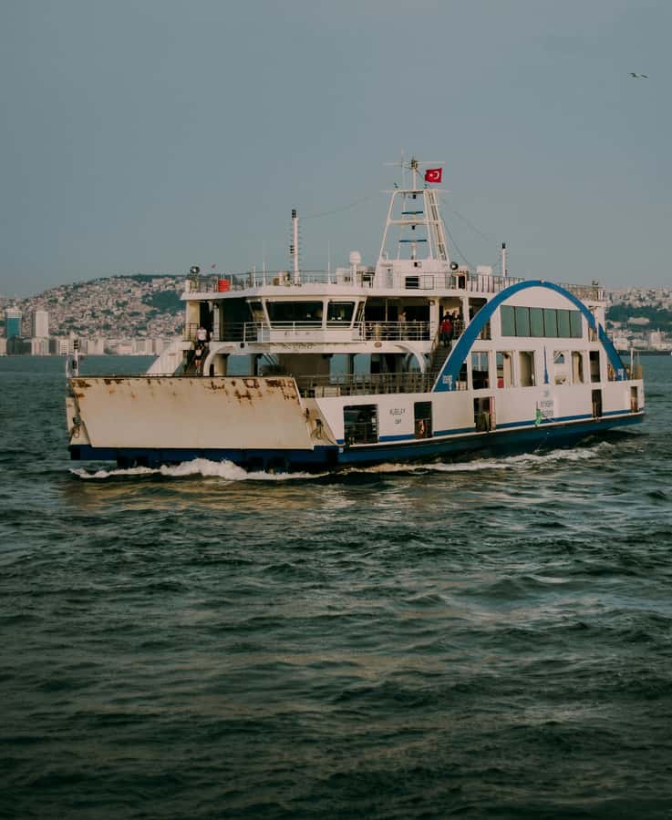 Exhilarating Shark Cage Diving Experience in Cape Town - A full wildlife day from Cape Town