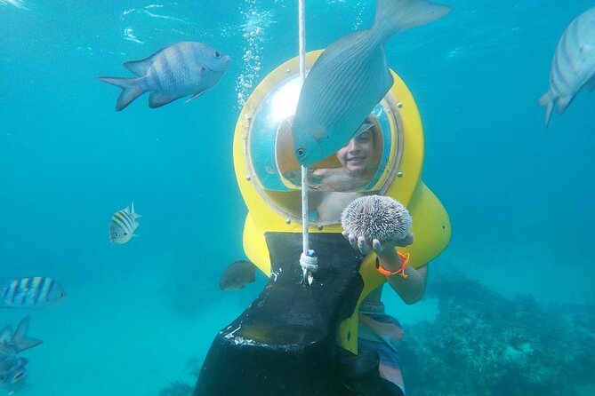 Experience a Submarine Scooter with ScubaDoo Punta Cana - The glass-bottom boat and reef views