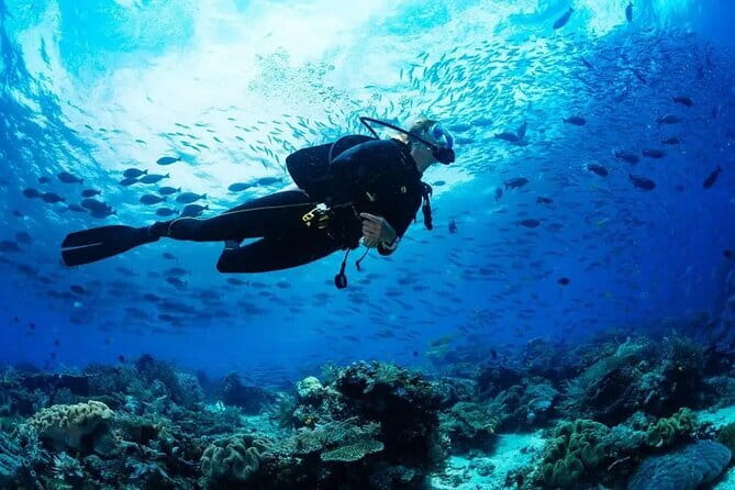 Experience Nha Trang Scuba Diving with Certified Dive - Key points to know before booking