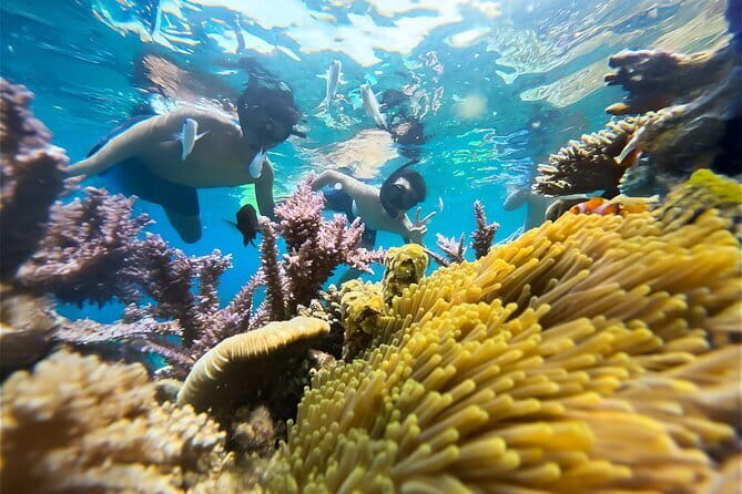 Experience Nha Trang Scuba Diving with Certified Dive - Equipment, clothing, and what to bring