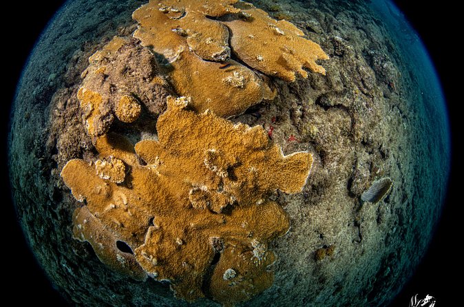 Experience Scuba - A calm introduction before entering deeper water