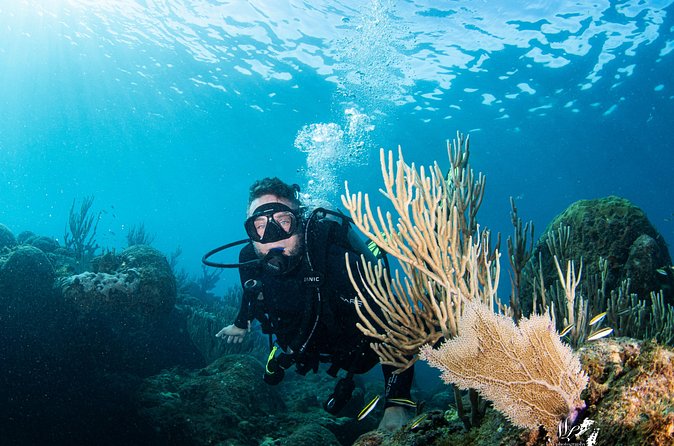 Experience Scuba - Booking, weather, and cancellation rules