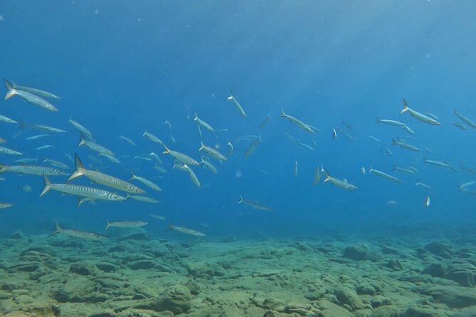 Experience Scuba Diving in Heraklion Crete - Equipment, photos, water, and snacks