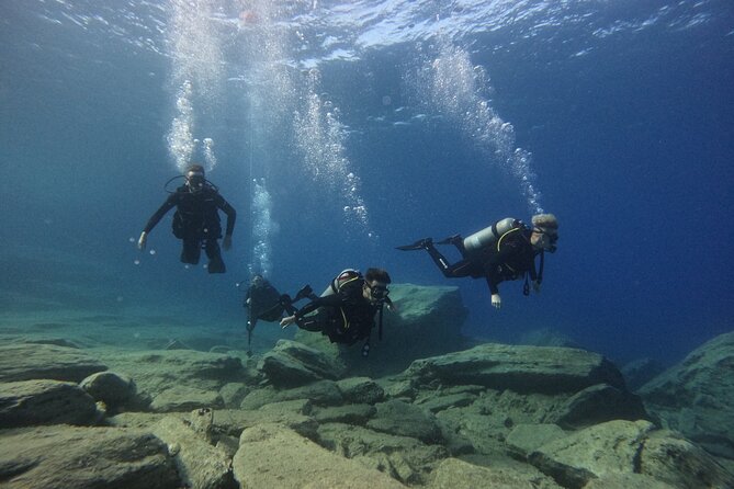 Experience Scuba Diving in Heraklion Crete - A gentle first step toward certification