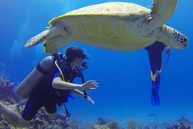 Experience Scuba Diving / NO certification Needed - Why the shore start can be both useful and difficult