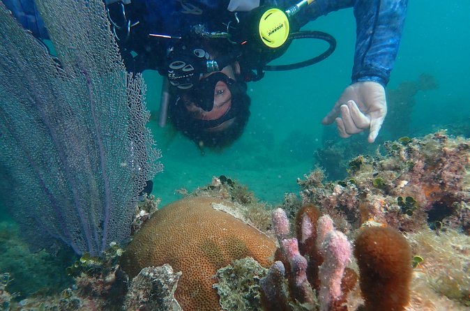 Experience Scuba Diving / NO certification Needed - Who will enjoy this experience most?