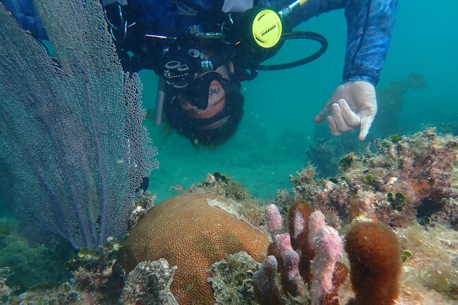 Experience Scuba Diving - No Certification Needed! - Learning the gear before entering Apra Harbor