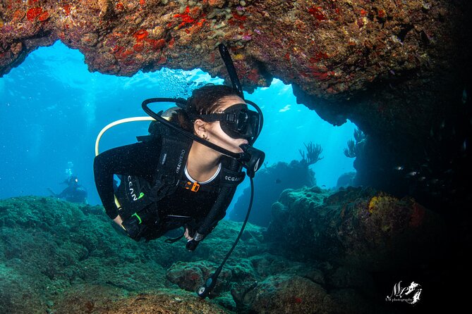 Experience Scuba - From basic skills to reef exploration