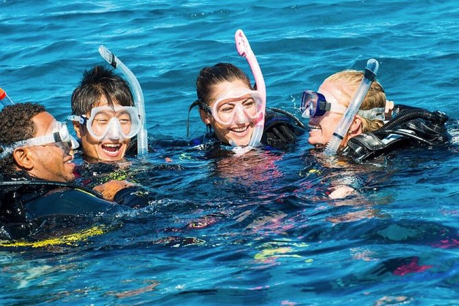 Exploration dives - What the Mauritius underwater experience is really like