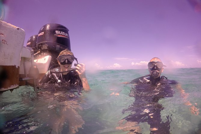 Exploration dives - Reefs, fish, caves, and wrecks