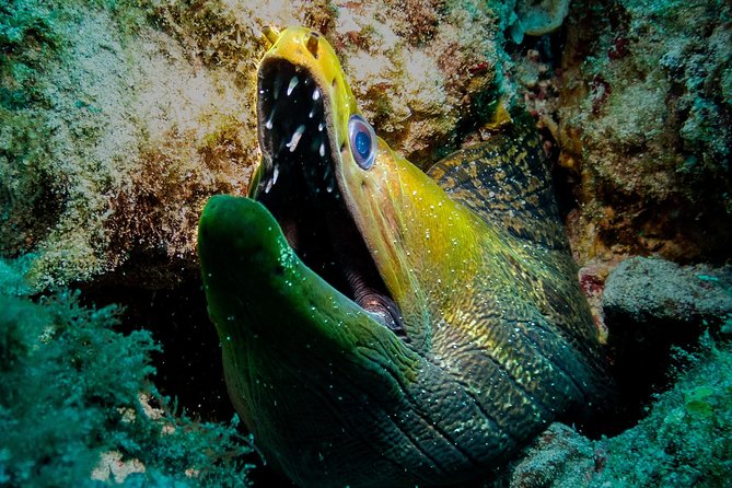 Exploration dives for experienced divers - The people behind the experience
