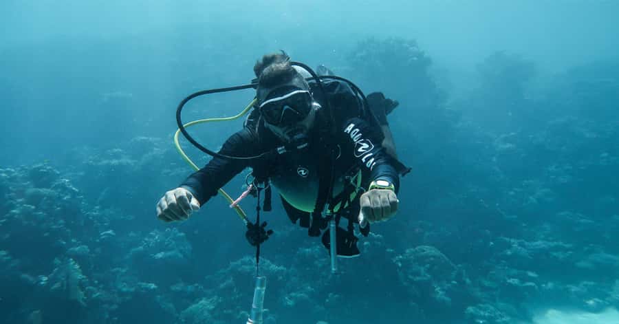 Explore Aqaba's Depths: Scuba Diving Tour, with Hotel Pickup - Key points before you book