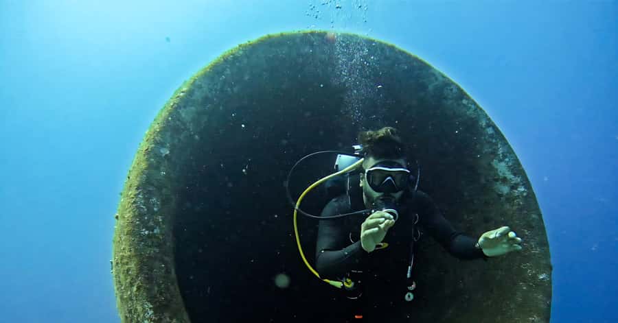 Explore Aqaba's Depths: Scuba Diving Tour, with Hotel Pickup - Reef scenery, sea life, and the underwater visit