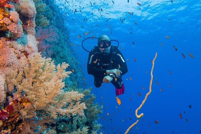 Explore Hurghada Two Thrilling Boat Dives for Certified Divers - Key points at a glance