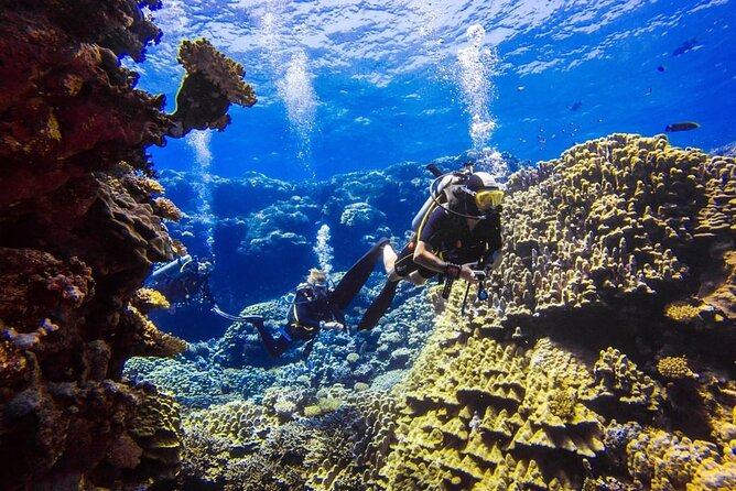 Explore Hurghada Two Thrilling Boat Dives for Certified Divers - Why this Hurghada boat day is worth considering