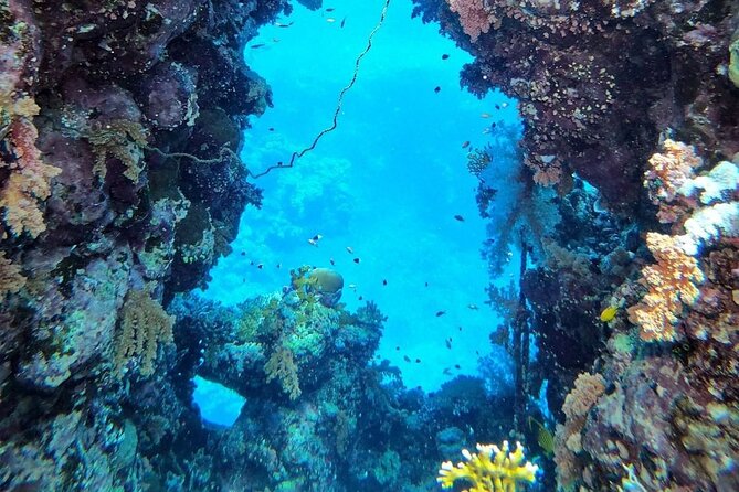 Explore Hurghada Two Thrilling Boat Dives for Certified Divers - What the $52.27 price really covers