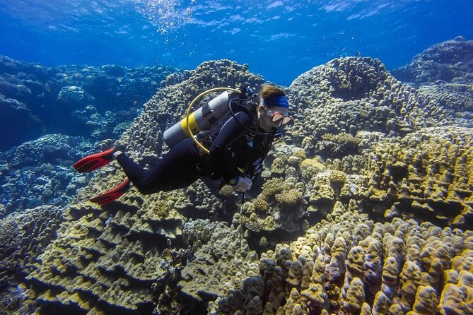 Explore Hurghada Two Thrilling Boat Dives for Certified Divers - The 10:00 AM session in clear Red Sea water