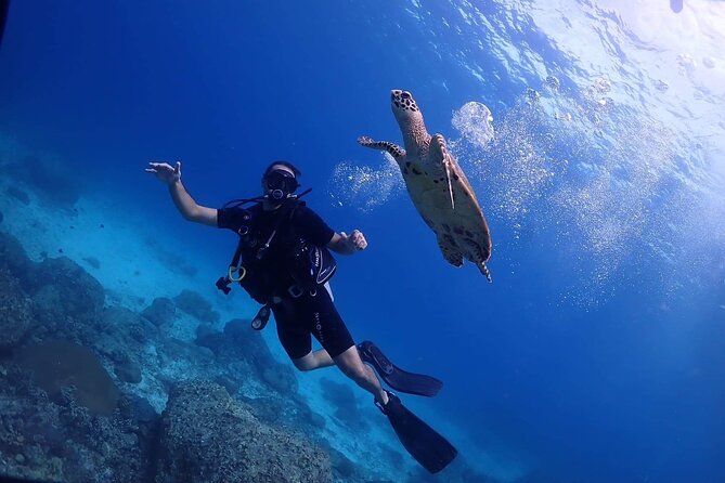 Explore Scuba Diving at Racha Yai Island from Phuket - Key points to know before booking