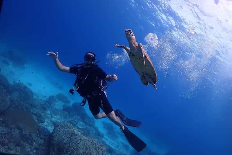 Explore Scuba diving at Racha Yai Island from Phuket - Who should book this experience