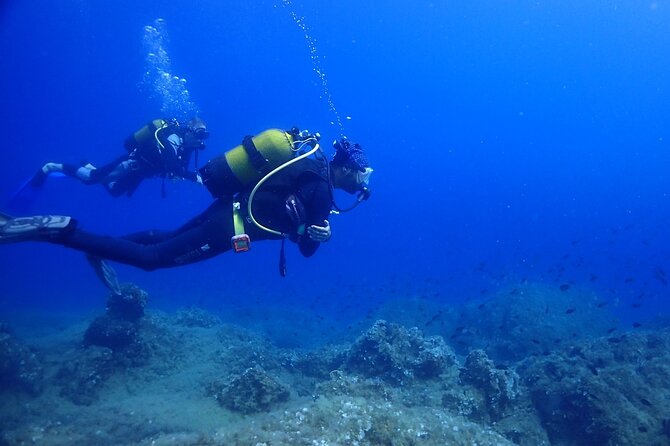 Explore World's Largest Plane Wreck by Scuba Diving in Kusadasi - What the $63 price covers