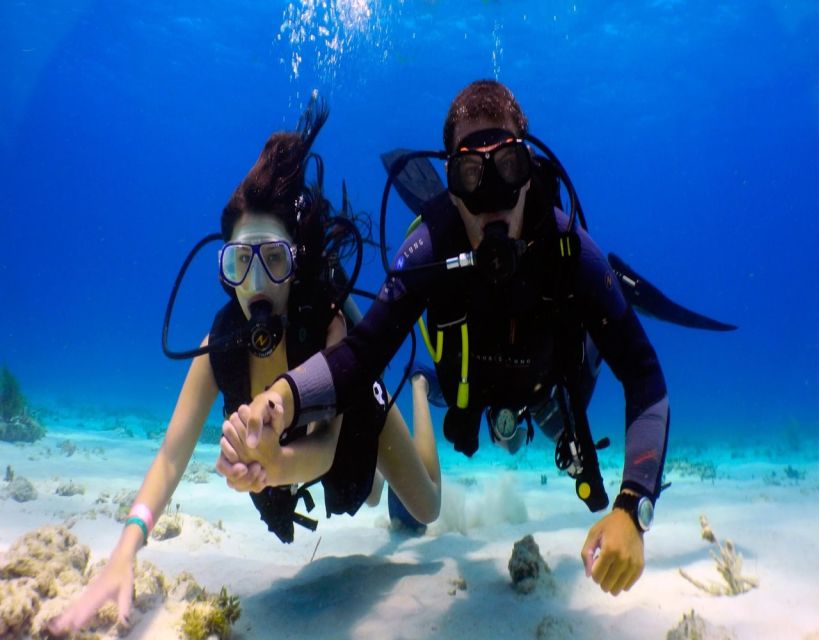 Fethiye: 2 Guided Scuba Dives with Lunch and Hotel Transfers - Key points to know before booking