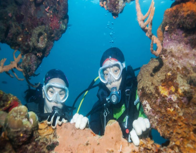 Fethiye: 2 Guided Scuba Dives with Lunch and Hotel Transfers - The safety briefing and equipment check
