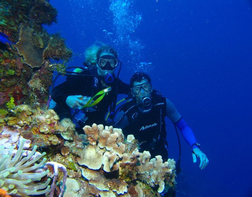Fethiye: 2 Guided Scuba Dives with Lunch and Hotel Transfers - First underwater session before lunch
