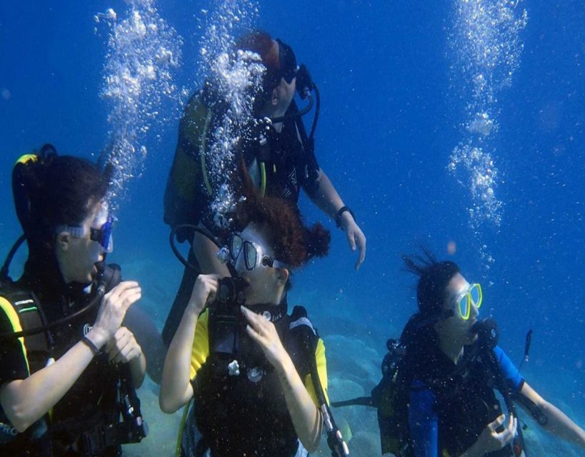 Fethiye: 2 Guided Scuba Dives with Lunch and Hotel Transfers - The second session at another site