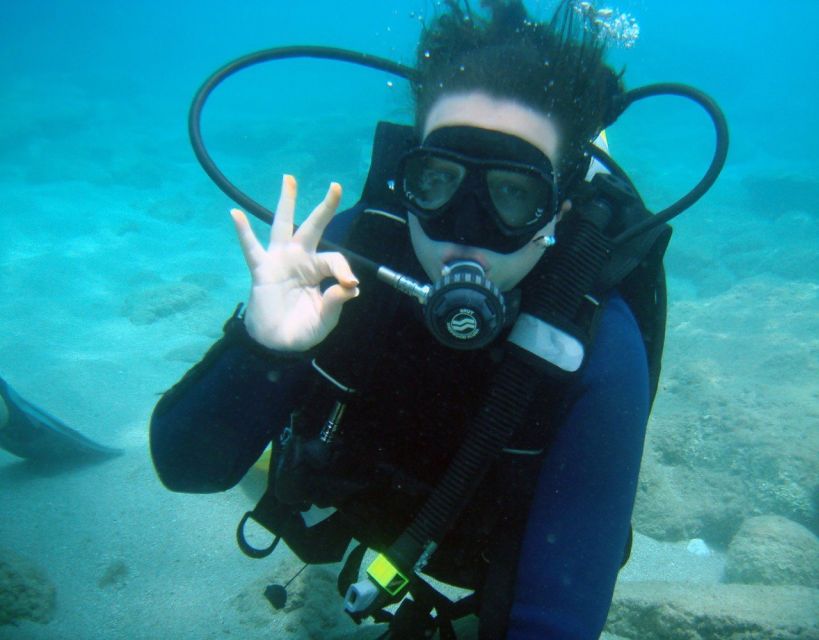 Fethiye: 2 Guided Scuba Dives with Lunch and Hotel Transfers - Marine life, fish feeding, and what you may see