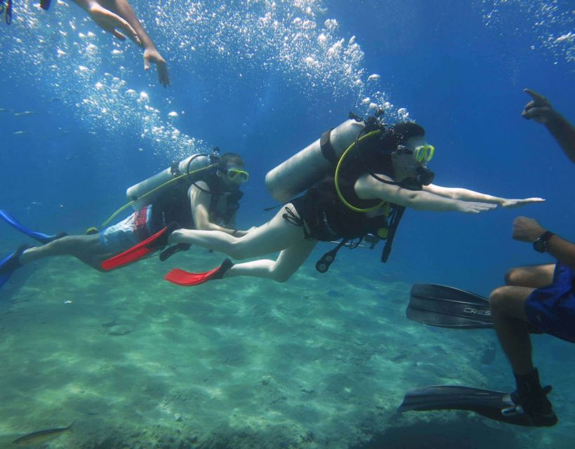 Fethiye: 2 Guided Scuba Dives with Lunch and Hotel Transfers - How the experience suits beginners and experienced participants