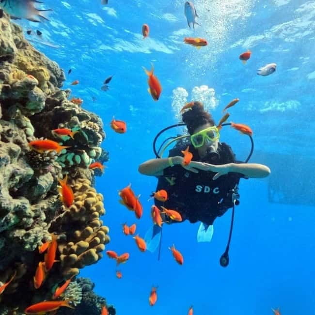 Fethiye: Fly and Dive, Paragliding and Scuba Diving Combined, Transfer Included - Two big adventures packed into one day