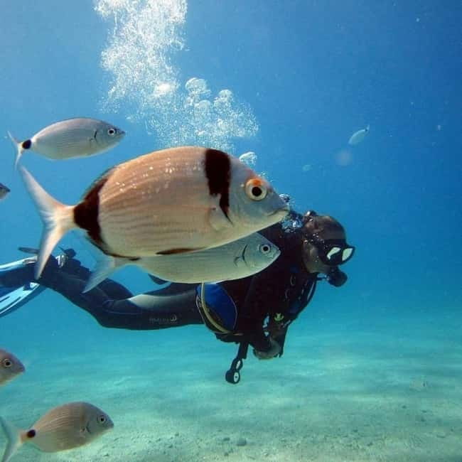 Fethiye: Fly and Dive, Paragliding and Scuba Diving Combined, Transfer Included - Riding up Babadağ at 1,969 meters