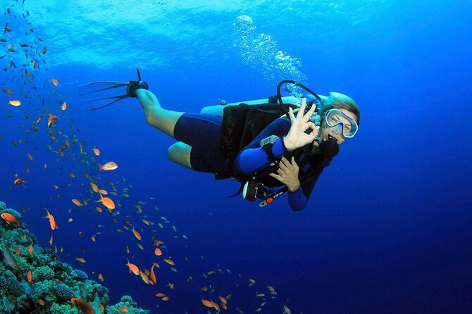 Fethiye Scuba Diving Experience By A Local Expert - Key points before you book