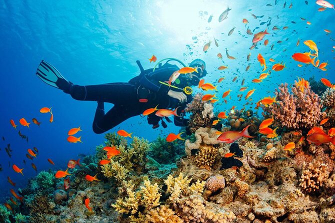 Fethiye Scuba Diving Experience By A Local Expert - The people who make the day work