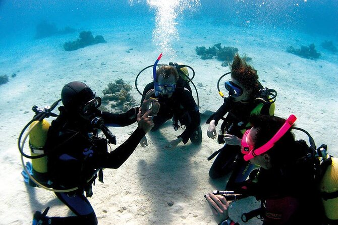 Fethiye Scuba Diving Experience By A Local Expert - Who should book this Fethiye activity?