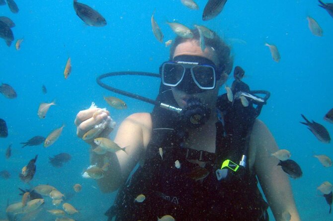 Fethiye Scuba Diving Experience By A Local Expert - Should you book the Fethiye scuba experience?