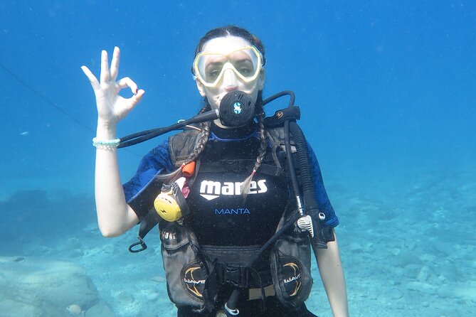 Fethiye Scuba Diving Trip with Mermaid Diving INCL Lunch-Transfer - Key points at a glance