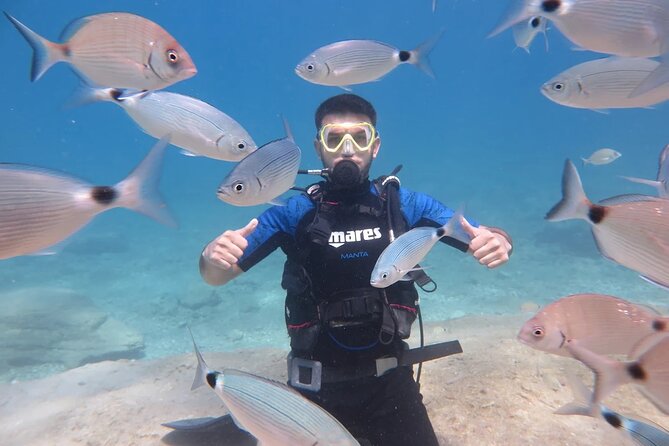Fethiye Scuba Diving Trip with Mermaid Diving INCL Lunch-Transfer - Why this Fethiye boat day works well