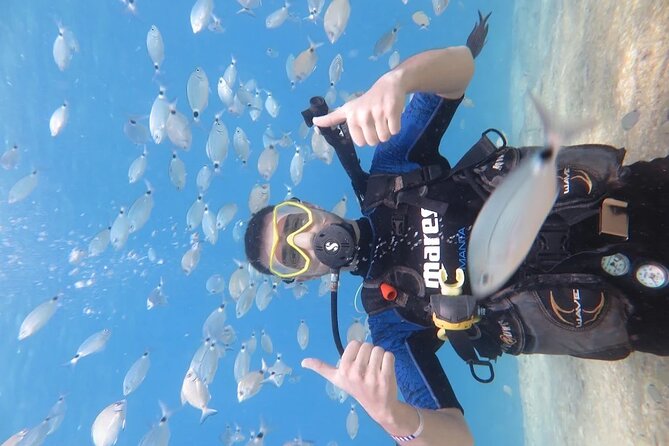 Fethiye Scuba Diving Trip with Mermaid Diving INCL Lunch-Transfer - Lunch, swimming, and time to slow down
