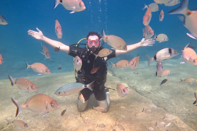 Fethiye Scuba Diving Trip with Mermaid Diving INCL Lunch-Transfer - Equipment, instruction, and safety