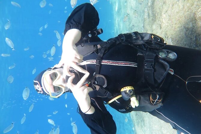 Fethiye Scuba Diving Trip with Mermaid Diving INCL Lunch-Transfer - What the $62.47 price really includes