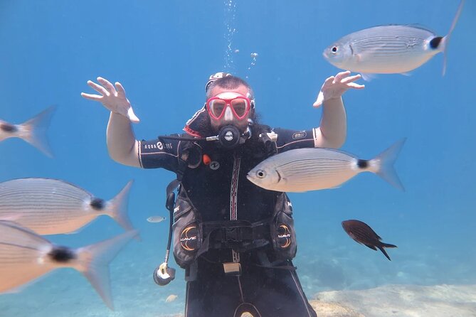 Fethiye Scuba Diving Trip with Mermaid Diving INCL Lunch-Transfer - Who should book this experience?