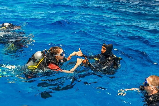 Fethiye Scuba Diving with Transfer, 2 Dives and Lunch - Key points before you book