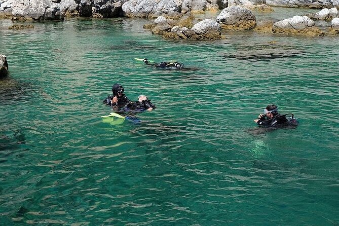 Fethiye Scuba Diving with Transfer, 2 Dives and Lunch - Lunch aboard the boat