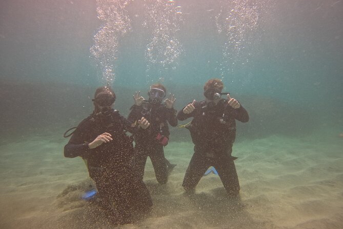 First Diving Experience Try Dive - Reaching Sal’s reefs and marine life