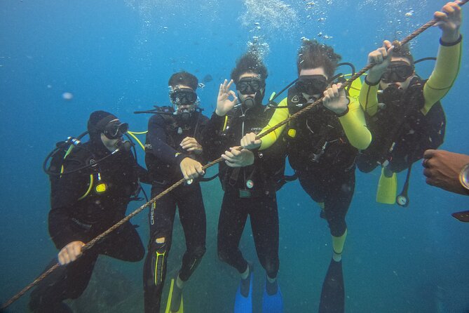 First Diving Experience Try Dive - Booking, cancellations, and useful timing advice