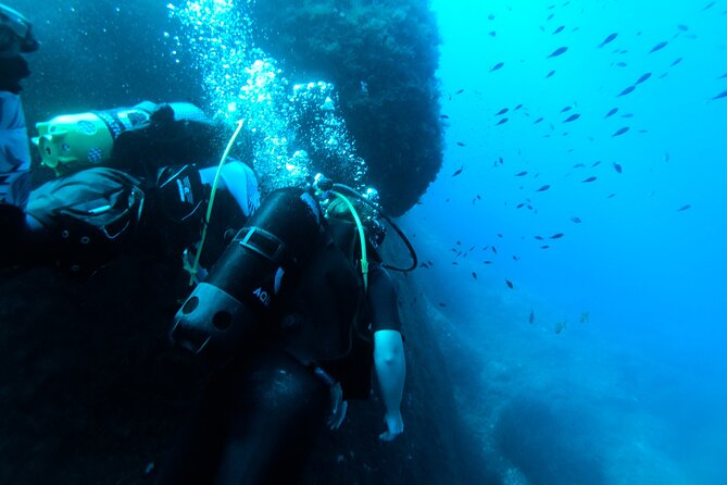 First Experience Scuba Diving - Learning the basics with a small team