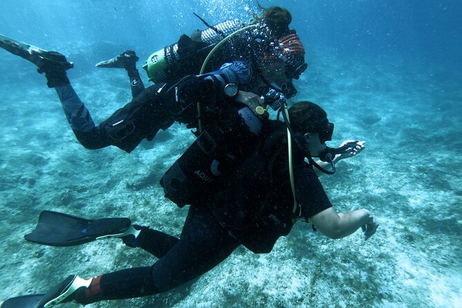 First Experience Scuba Diving - The second shore session and Malta’s sea life